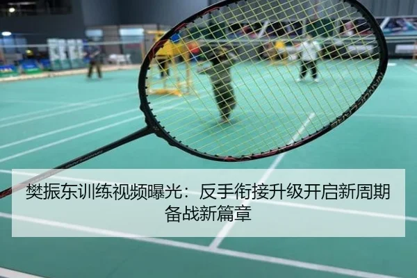 樊振东训练视频曝光：反手衔接升级开启新周期备战新篇章